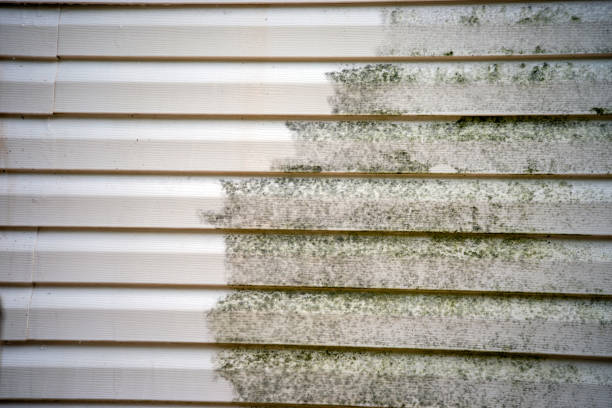 Best Siding Removal and Disposal  in Eden, NC