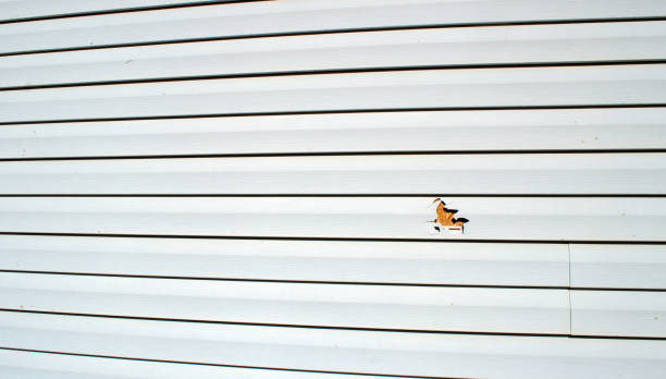 Best Storm Damage Siding Repair  in Eden, NC