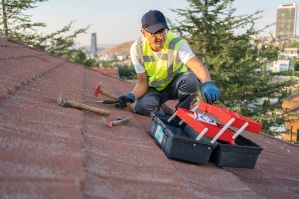Best Fiber Cement Siding Installation  in Eden, NC